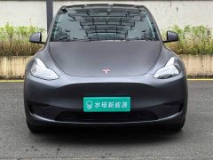 Tesla Model Y Rear-Wheel Drive - ფოტო 2