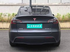 Tesla Model Y Rear-Wheel Drive - ფოტო 7