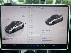 Tesla Model Y Rear-Wheel Drive - ფოტო 10