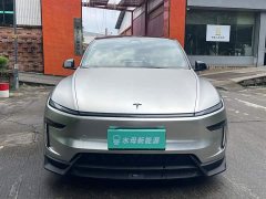 Tesla Model Y Rear-Wheel Drive - ფოტო 2