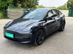 Tesla Model Y Rear-Wheel Drive - ფოტო 1