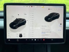 Tesla Model Y Rear-Wheel Drive - ფოტო 11