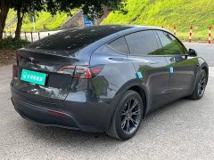 Tesla Model Y Rear-Wheel Drive - ფოტო 12