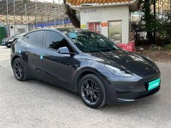 Tesla Model Y Rear-Wheel Drive - ფოტო 13