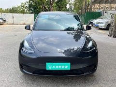 Tesla Model Y Rear-Wheel Drive - ფოტო 2