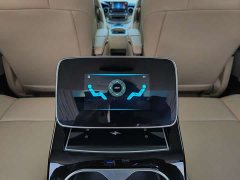 Mercedes-Benz V-Class V 260 L Long Wheelbase Luxury Edition - ფოტო 18
