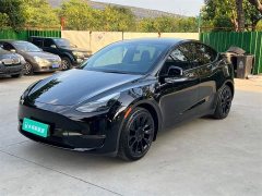 Tesla Model Y Standard Range RWD - ფოტო 1