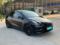 Tesla Model Y Standard Range RWD - ფოტო 13
