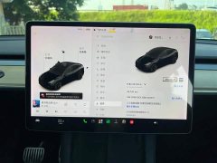 Tesla Model Y Standard Range RWD - ფოტო 14