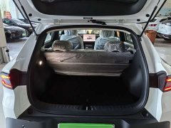 Changan Qiyuan Q05 405Air - ფოტო 10
