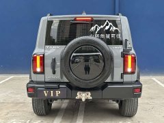 Tank 300 Off-Road Edition 2.0T Conqueror - ფოტო 8
