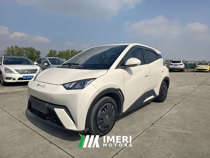 BYD Seagull Vitality Edition