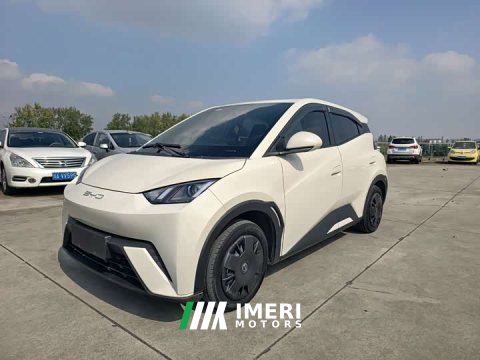 2023 BYD Seagull Vitality Edition - ავტომობილი ჩინეთიდან