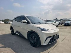 BYD Seagull Vitality Edition - ფოტო 3