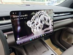 NIO ES8 Five-Seat Executive Luxury Edition - ფოტო 6