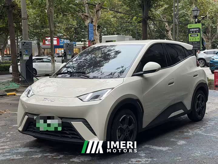 BYD Seagull Glory Edition 305km Vitality Version
