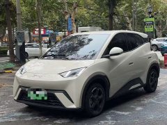 BYD Seagull Glory Edition 305km Vitality Version - ფოტო 1