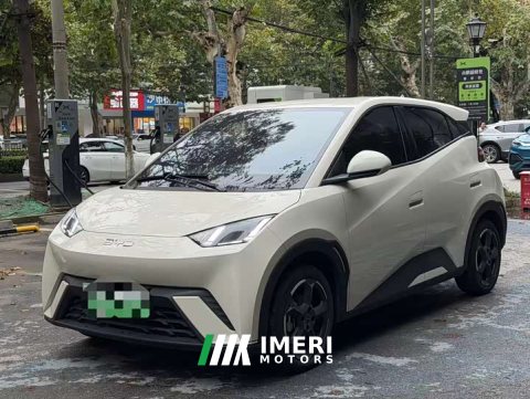 2024 BYD Seagull Glory Edition 305km Vitality Version - ავტომობილი ჩინეთიდან