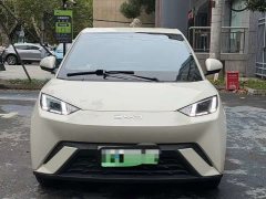 BYD Seagull Glory Edition 305km Vitality Version - ფოტო 2