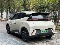 BYD Seagull Glory Edition 305km Vitality Version - ფოტო 7