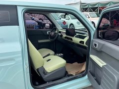 Geely Panda Mini New Spring Edition Treasure Bear - ფოტო 10