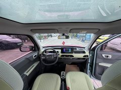 Geely Panda Mini New Spring Edition Treasure Bear - ფოტო 11