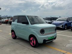 Geely Panda Mini New Spring Edition Treasure Bear - ფოტო 3