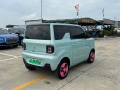 Geely Panda Mini New Spring Edition Treasure Bear - ფოტო 4