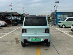Geely Panda Mini New Spring Edition Treasure Bear - ფოტო 5