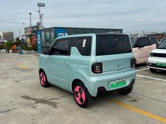 Geely Panda Mini New Spring Edition Treasure Bear - ფოტო 6