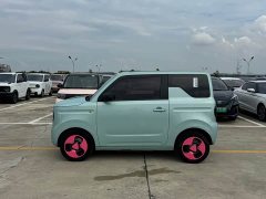 Geely Panda Mini New Spring Edition Treasure Bear - ფოტო 7