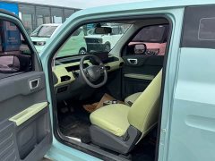 Geely Panda Mini New Spring Edition Treasure Bear - ფოტო 8