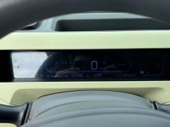 Geely Panda Mini New Spring Edition Treasure Bear - ფოტო 9