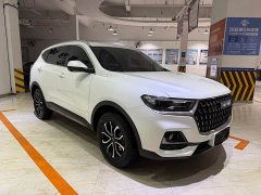 Haval H6 National Trend Edition 1.5T Automatic Urban Version - ფოტო 3