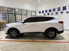 Haval H6 National Trend Edition 1.5T Automatic Urban Version - ფოტო 7