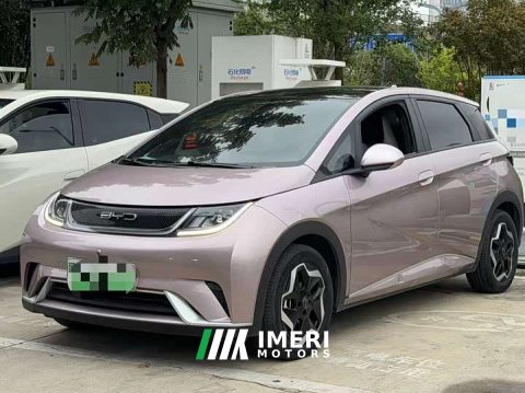 2023 BYD Dolphin 405km Freedom Edition - ავტომობილი ჩინეთიდან