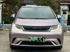 BYD Dolphin 405km Freedom Edition - ფოტო 2