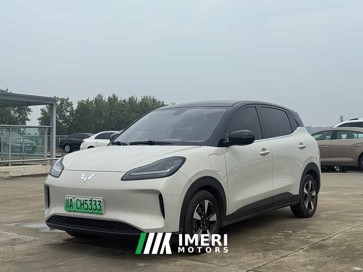 Wuling Binguo PLUS 510km 5-Seater - ავტომობილი ჩინეთიდან