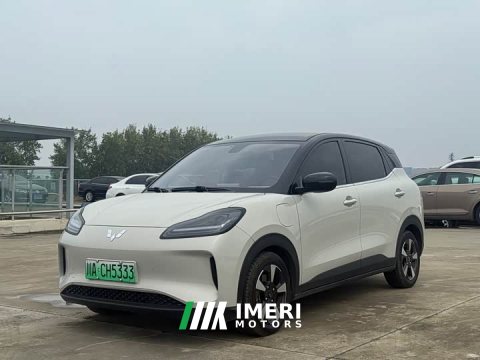 2025 Wuling Binguo PLUS 510km 5-Seater - ავტომობილი ჩინეთიდან