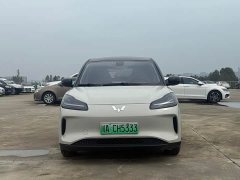 Wuling Binguo PLUS 510km 5-Seater - ფოტო 2