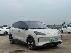 Wuling Binguo PLUS 510km 5-Seater - ფოტო 3