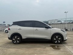 Wuling Binguo PLUS 510km 5-Seater - ფოტო 4