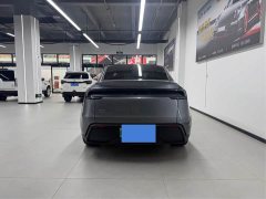 Tesla Model Y Rear-Wheel Drive - ფოტო 15