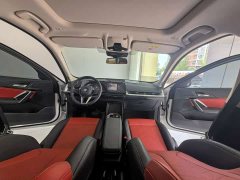 BMW X1 sDrive20Li X Design Package - ფოტო 15