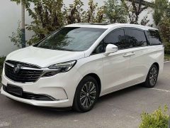 Buick GL8 ES Land Respect 653T Luxury - ფოტო 1