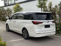 Buick GL8 ES Land Respect 653T Luxury - ფოტო 4