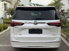 Buick GL8 ES Land Respect 653T Luxury - ფოტო 5