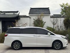 Buick GL8 ES Land Respect 653T Luxury - ფოტო 7