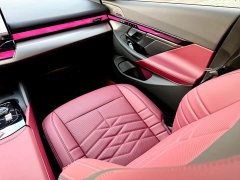 BMW 5 Series Year of the Horse Edition - ფოტო 11