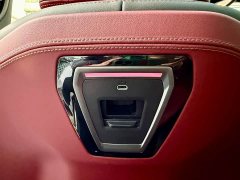 BMW 5 Series Year of the Horse Edition - ფოტო 16
